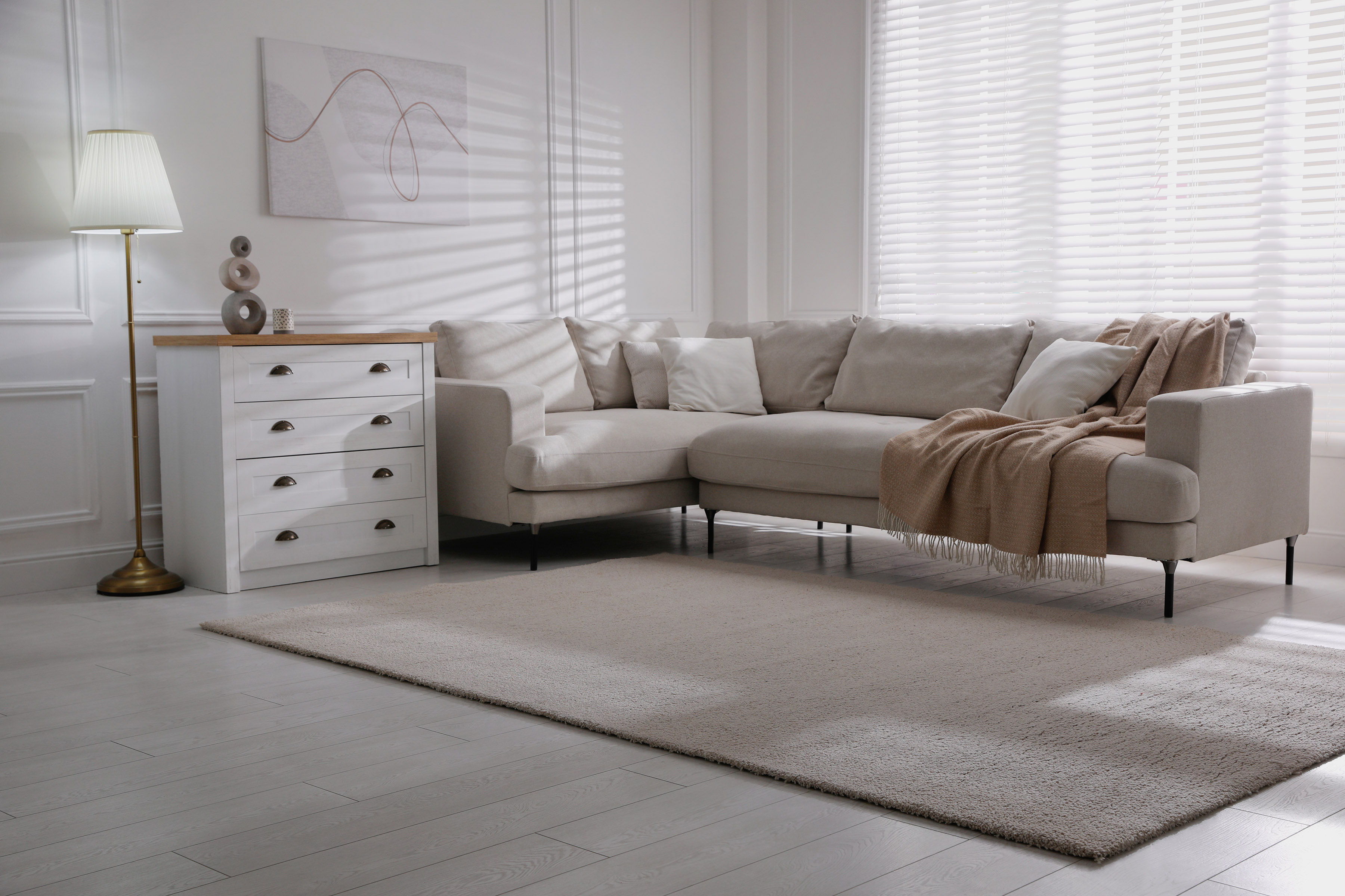 Stylish soft carpet on floor in living room